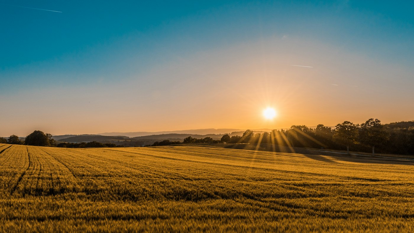 La parcelle vue depuis la voie d'accès